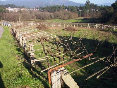 Foto de la Finca